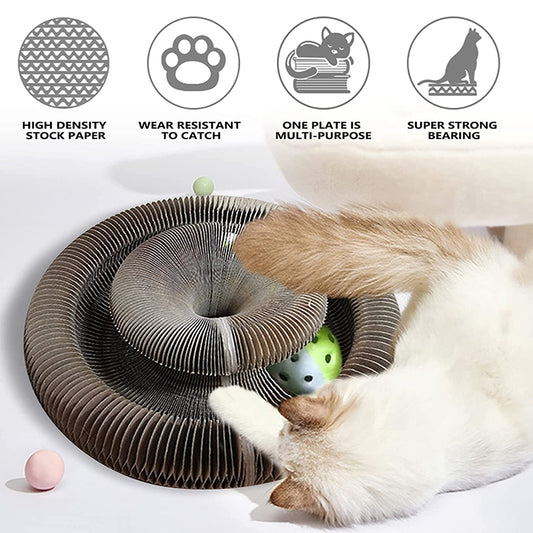 Lallypet™ Magic Organ Cat Scratching Board
