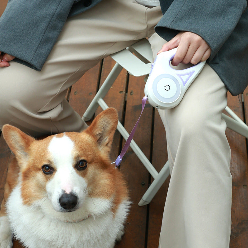 Lallypet™ Retractable Luminous Dog Leash