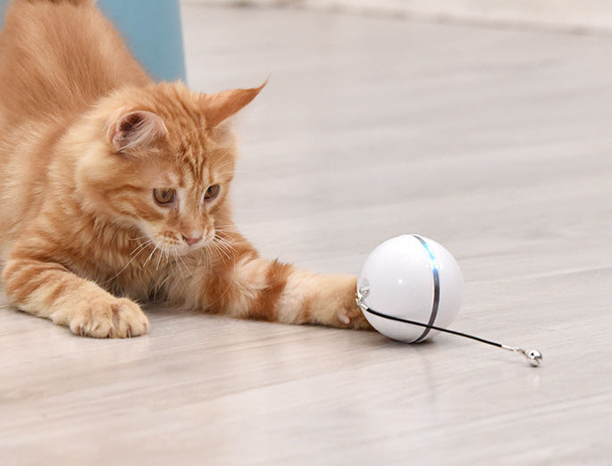 LALLYPET™ Catch Me ball