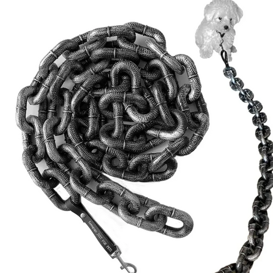 Lallypet™ Chain Leash