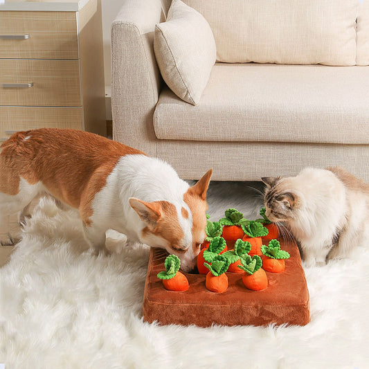 LALLYPET™ Carrot Patch