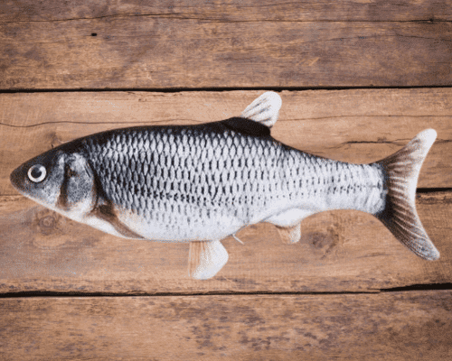 Lallypet™ Funny Fish Interactive Toy