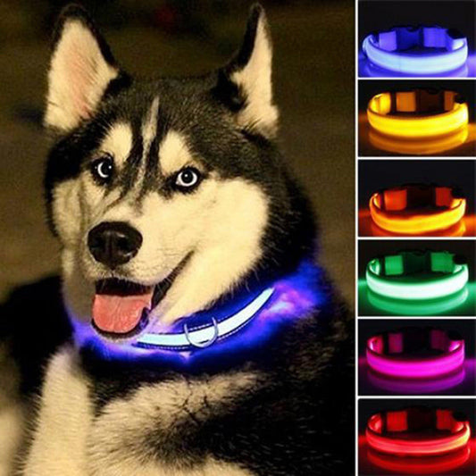 Lallypet™ Dog Collar Led